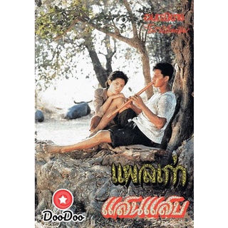 dvd แผ่น หนังไทย หนังเก่า หนังใหม่ แผลเก่า (2520) สรพงศ์ ชาตรี