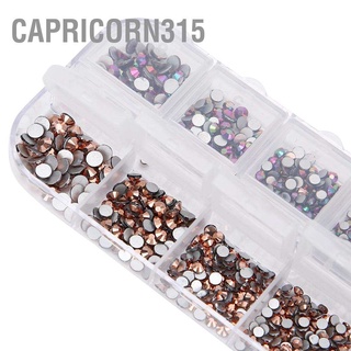 Capricorn315 อุปกรณ์ตกแต่งเล็บ พลอยเทียม 12 ช่อง ต่อกล่อง