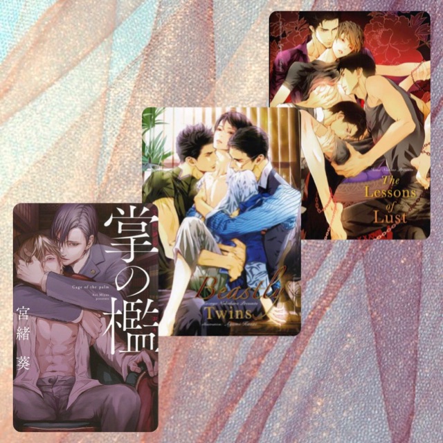 ❣️ส่งฟรี❣️นิยายวายญี่ปุ่นแปลไทย Cage of the palm/Beastly twins/The Lessons of Lust