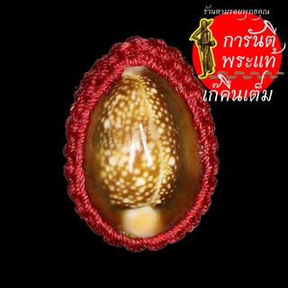 เบี้ยแก้รุ่นแรก พระครูเกษมธรรมสิริ (ครูบาวสิน เขมวโร)