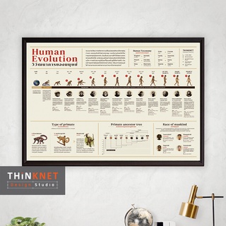 กรอบวิวัฒนาการของมนุษย์ Human Evolution