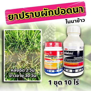 ชุดปราบผักปอดนา 🛑 สปีดไลน์ 1 + เมตซันฟูรอน 1 🛑 กำจัด ผักปอดนา ในนาข้าว