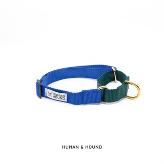 ปลอกคอสุนัข Human and  Hound - Martingale Green/Royal Blue ปลอกคอฝึกสุนัข