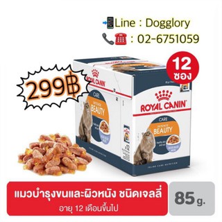 Royal Canin : Hair&amp;Skin Jelly สูตรบำรุงขนและผิวหนัง ( Jelly )