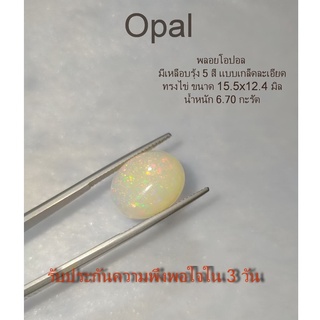 เม็ดใหญ่ พลอยโอปอล Opal มีเหลือบรุ้ง5สี ทรงไข่15.5*12.4mm. 6.70กะรัต เหมาะทำฝังพลอยเม็ดเดี่ยว พลอยแท้ธรรมชาติ