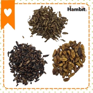 Hambit. หนอนไหมอบแห้ง จิ้งหรีดอบแห้ง สะดิ้งอบแห้ง ไม่ใส่เกลือ สำหรับสัตว์เลี้ยง