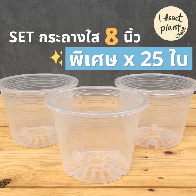 ✨SET กระถางใส 8 นิ้ว x 25 ใบ | ทรงกลม ชำราก ส่องราก ใส่ไม้ใบ ไม้มงคล ไม้ประดับ สลัด กระถางใส | Trans