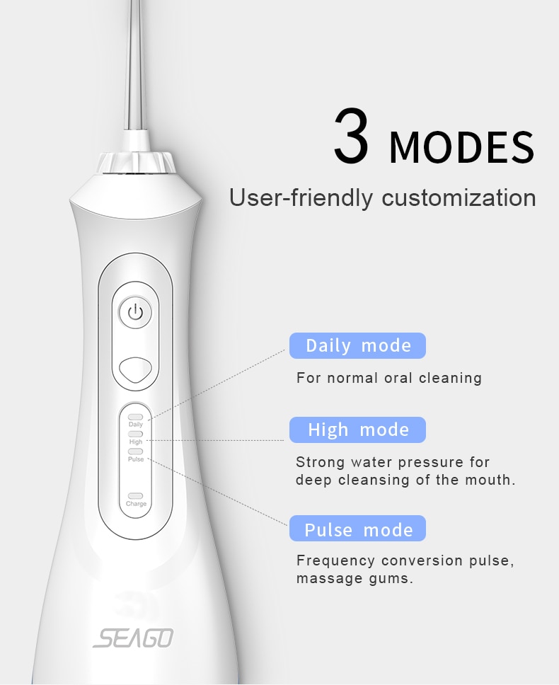 seago water flosser
