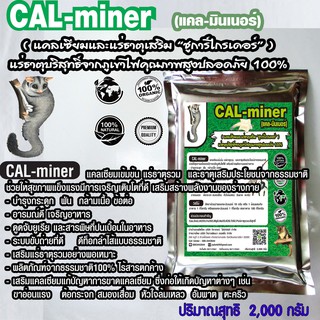 CalMinerแคลมินเนอร์2,000กรัมอาหารเสริมชูการ์ไกเดอร์แคลเซียมและแร่ธาตุรวมบริสุทธิ์ธรรมชาติ100%เข้มข้นเกรดพิเศษ##ส่งฟรี##