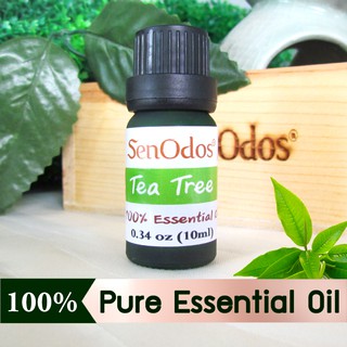 SenOdos น้ำมันหอมระเหย แท้ กลิ่นทีทรีออยด์ Tea Tree Pure EssentialOils