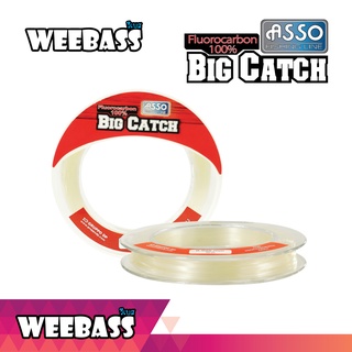 สายเอ็น สายตกปลา ASSO สายเอ็น - รุ่น ASSO สายเอ็น - รุ่น BIG CATCH FLUORO