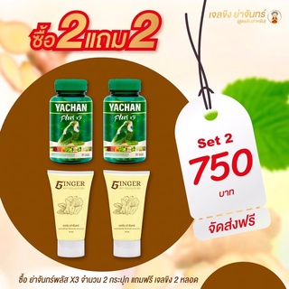 (2แถม2ส่งฟรี)ย่าจันทร์พลัสx3 แถมฟรี เจลขิง : ลดทั้งตัว