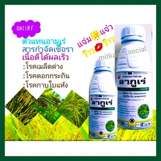 ยากำจัดเชื้อรา ยากันเชื้อรา ลากูเร่ ยาตัวเดียวกับ อามูเร่ 500cc นาข้าว กาบใบแห้ง เมล็ดด่าง ทุเรียน ใบติด ใบจุด ใบไหม้