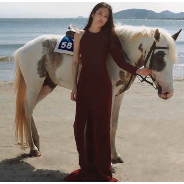 Paing official long dress