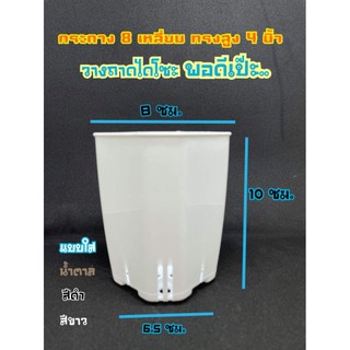 กระถาง​ทรงสูง​ 4 นิ้ว​ เซ็ตละ​ 10 ใบ#กระถางกระบองเพชร#ฮาโวเทีย#กระถางแปดเหลี่ยม#กระถางทรง#เพชร