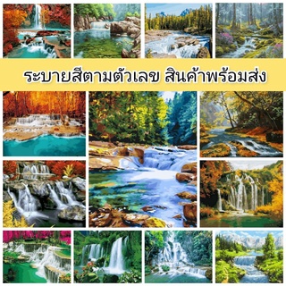 ภาพระบายสีตามตัวเลข ขนาด 40×50 ซม. ขึงเฟรมไม้พร้อมอุปกรณ์