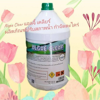 Algae Clear (แอลจี้ เคลียร์) 3.8 ลิตร ผลิตภัณฑ์ปรับสภาพน้ำ สำหรับกำจัดตะไคร่น้ำยากำจัดตะไคร่ ผลิตภัณฑ์กำจัดตะไคร่