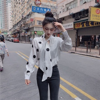 พร้อมส่ง &gt; เชิ้ตผูกโบว์ จุดเล็กจุดใหญ่