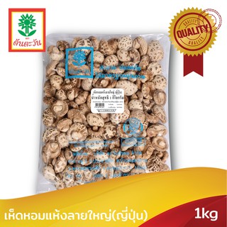 เกรดพิเศษ ดอกหนา เห็ดหอมแห้งลายใหญ่(ญี่ปุ่น) 1กก ตรา ต้นตะวัน