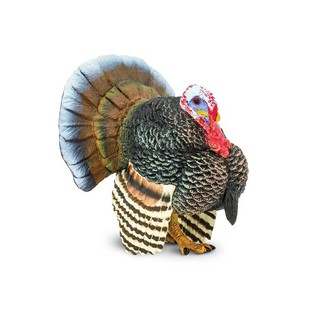 Safari Ltd. : SFR242929 โมเดลไก่งวง Turkey