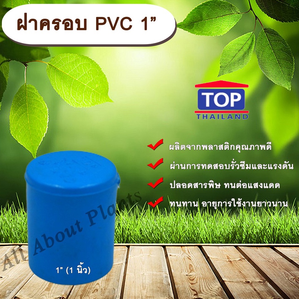 ฝาครอบ PVC ตรา TOP 1”(1นิ้ว) ฝาครอบท่อPVC ขนาด 1นิ้ว ตัวอุดท่อ ฝาปิดท่อ