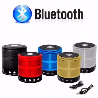 ลำโพง Bluetooth Speakers WS-887 สีเงิน