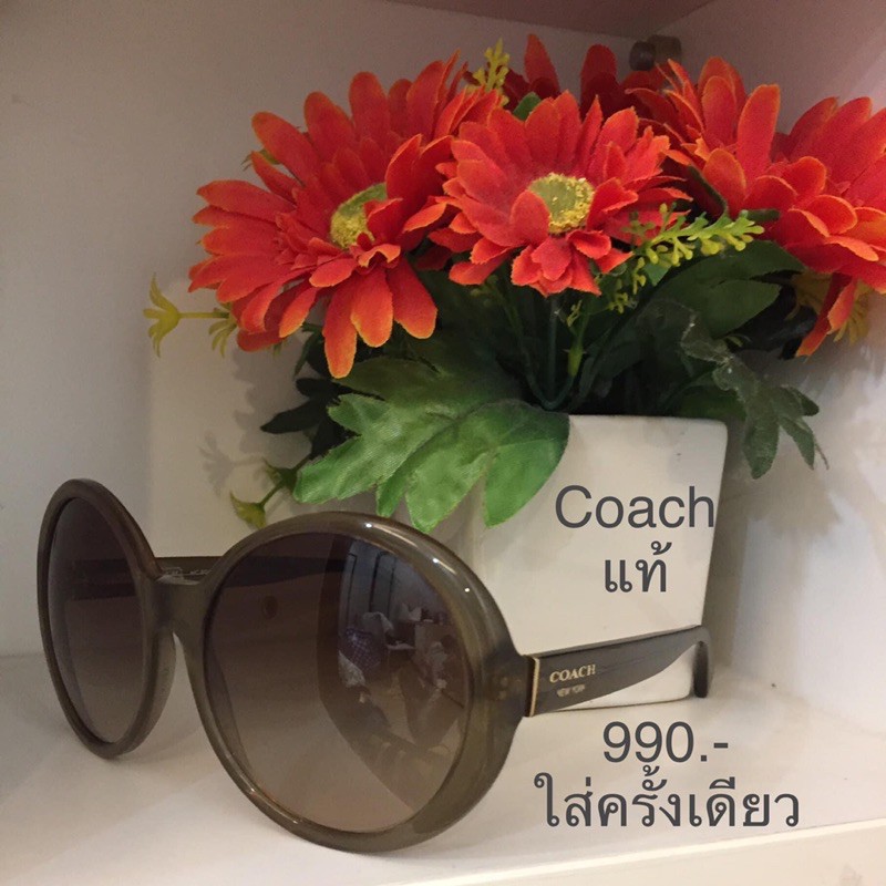 แว่นตา Coach แท้ 990