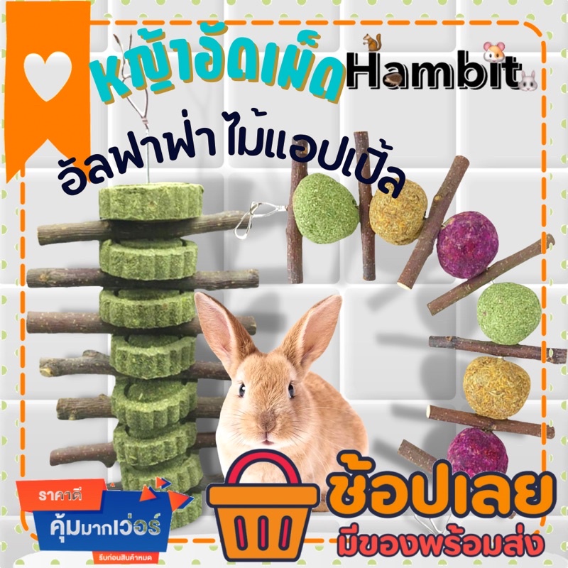 Hambit. หญ้าอัดแท่งสำหรับกระต่าย ดอกไม้อัดก้อน เกรดพรีเมี่ยม