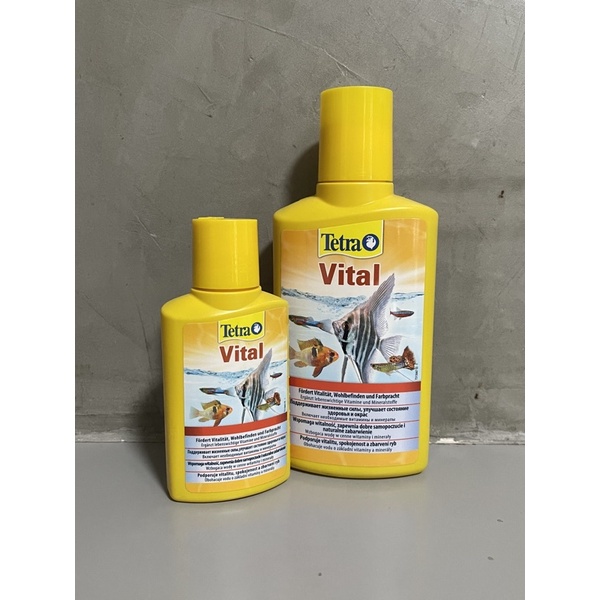 วิตามินน้ำ สำหรับปลา Tetra vital เต็ดตร้า ไวทัล Vitamins + Minerals