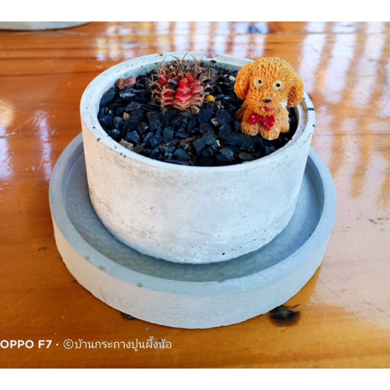 จานรองกระถางต้นไม้ ปูนน่ารักๆ ทรงเลขาคณิต รูปที่ 6