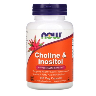 Now Foods, Choline &amp; Inositol, 500 mg, 100 Capsules