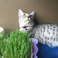 Profile jureerat.2529