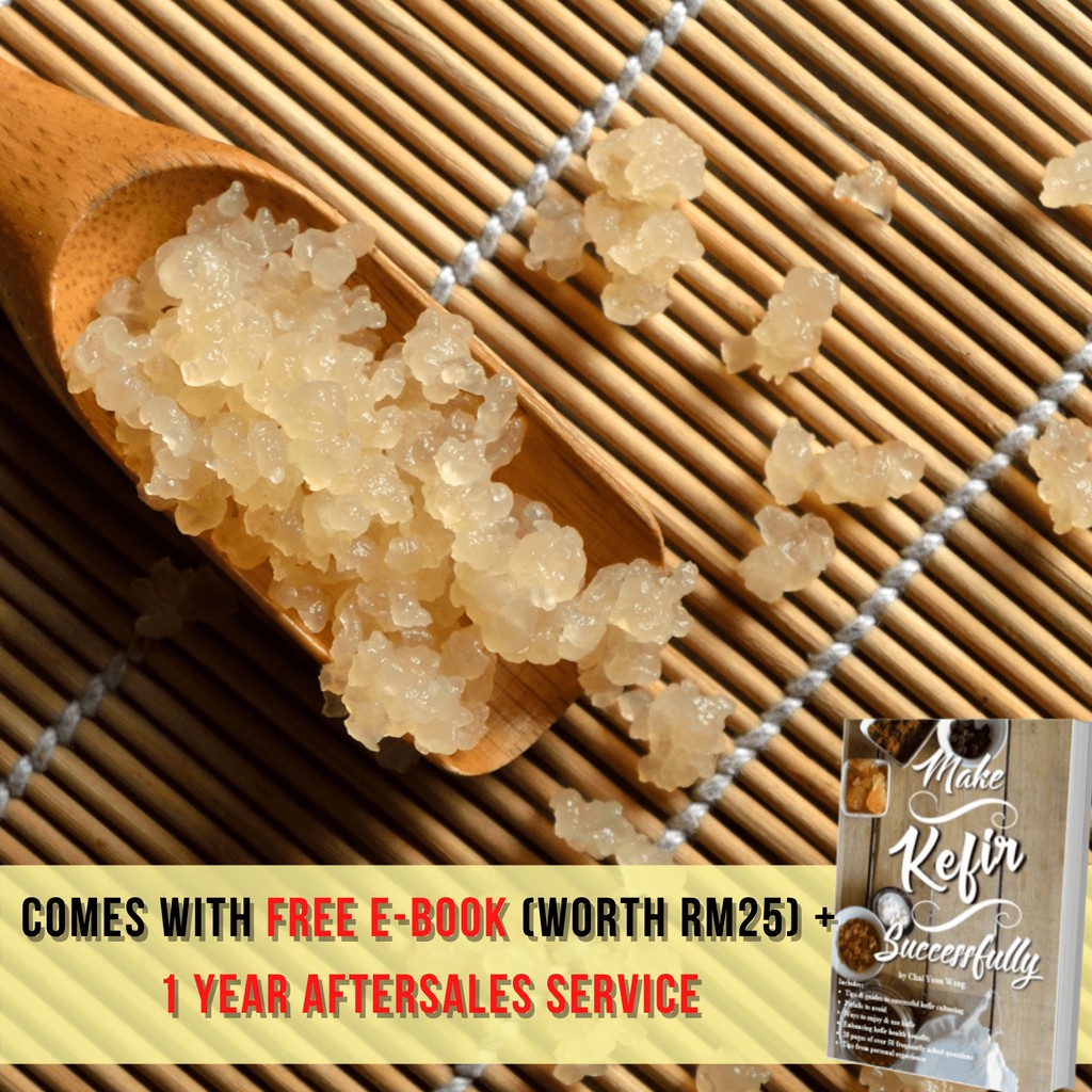 HEALTHY Active Water Kefir Grains (Tibcos)