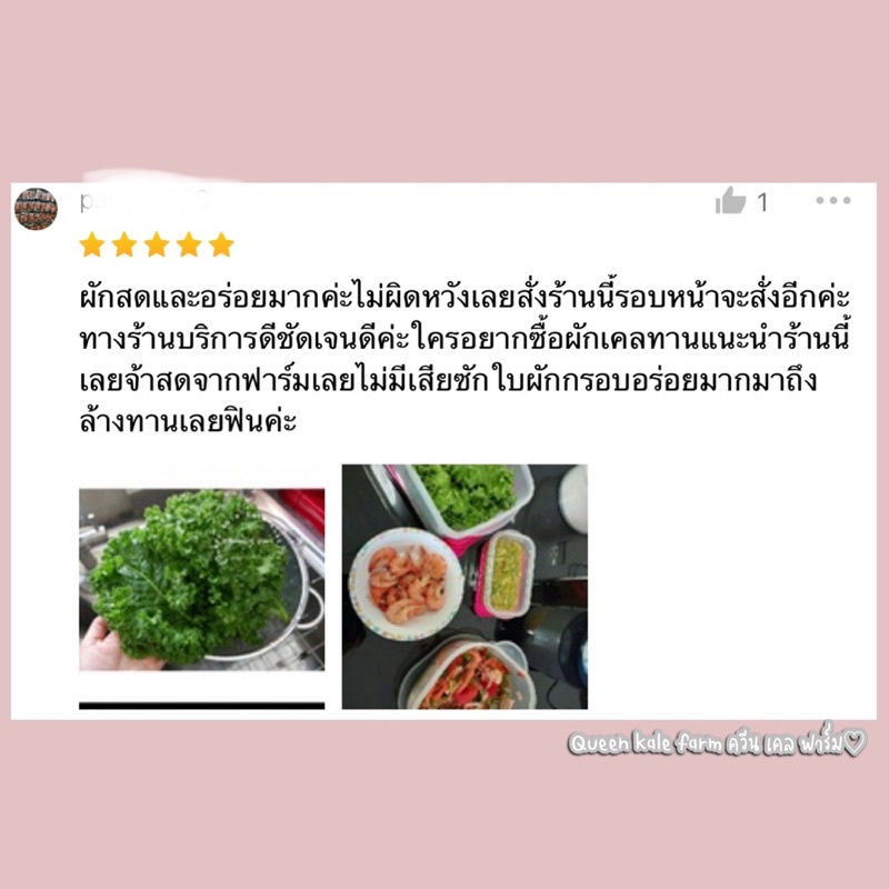 🌈ผักเคลใบหยิกเขียว 500 กรัม ตัดสดตามออเดอร์จากฟาร์ม - รูปที่ 5