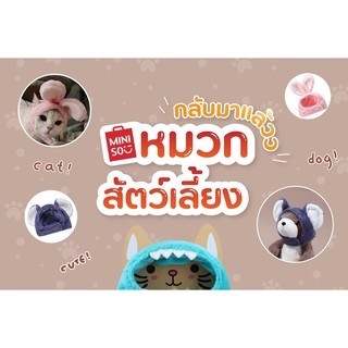 หมวกสัตว์เลี้ยง หมวกแมว pet hat หมวกหมา Cat hat Dog hat MINISO