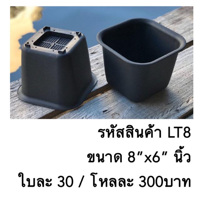 LT8 กระถางต้นไม้แคคตัส ขนาด 8 x 6 นิ้ว 1 โหล