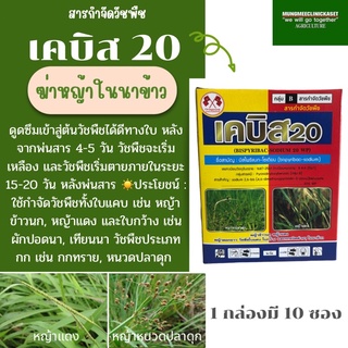 สารกำจัดวัชพืชในนาข้าว เคบิส 20 ข้าวไม่แดง ไม่งัน✅