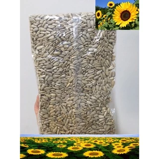 เมล็ดทานตะวันดิบ **12.5kg/ยกลัง** (Sunflower seed) ***ยกลัง***
