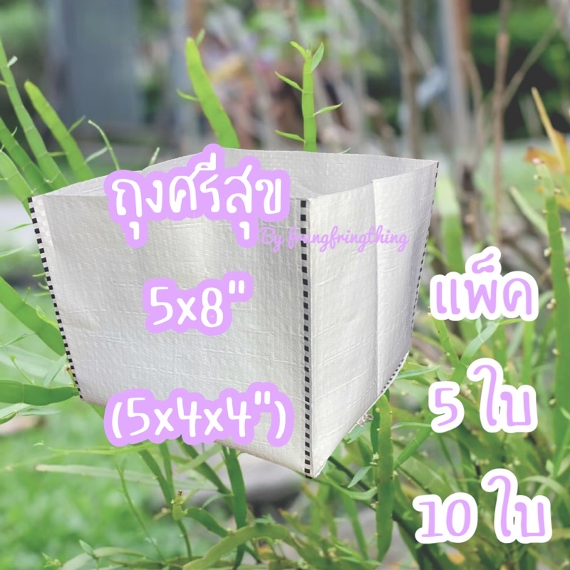 ถุงปลูกสีขาว ถุงเพาะปลูก ศรีสุข 5x8 นิ้ว 5ใบ/แพ็ค หรือ 10ใบ/แพ็ค