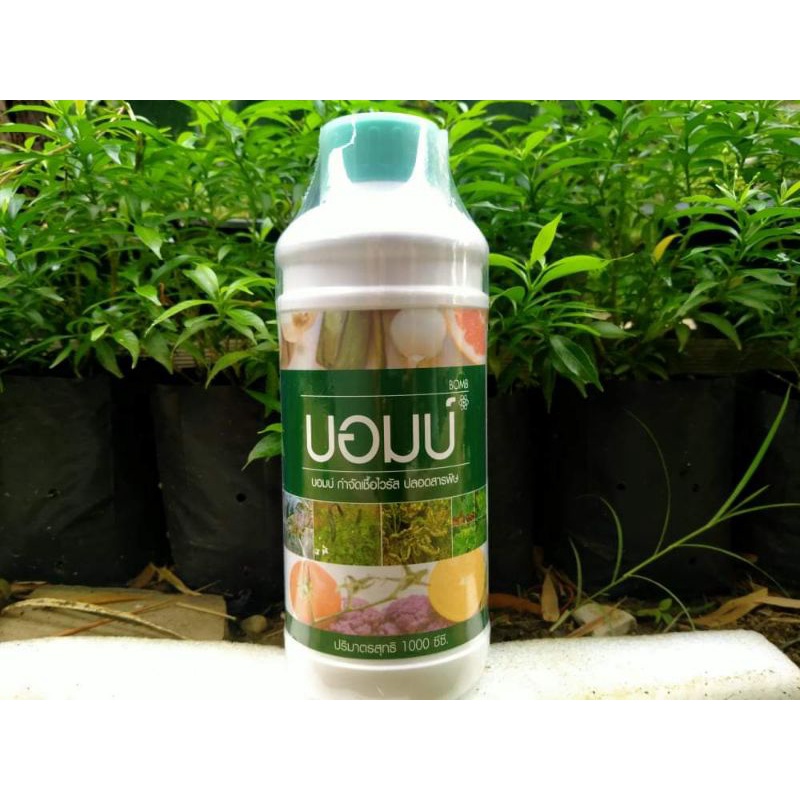 บอมบ์กำจัดเชื้อไวรัสเพลี้ยไฟไรแดง ขนาด 1000 ซีซี