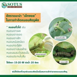 เอ็กซอล 15 มล. สารกำจัดแมลง สารสไปนีโทแรม เพลียไฟ หนอน โซตัส