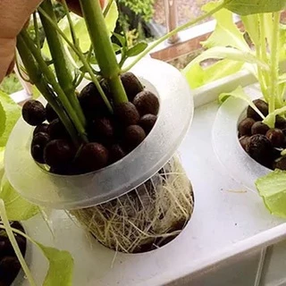 หม้อตาข่ายไฮโดรโปนิกส์ตะกร้าถ้วยสุทธิสวน Aeroponic ผักเนอสเซอรี่หม้อปลูกเติบโต Clone Seed งอก 1 ชิ้น