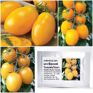 เมล็ดพันธุ์ มะเขือเทศ โกลเด้นโรม่า Golden Roma Tomato Seed บรรจุ 25 เมล็ด คุณภาพดี ราคาถูก ของแท้ 100%