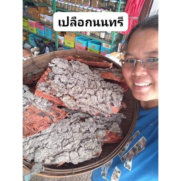 นนทรีป่า​ อราง​ ขายเปลือก​ต้น สด1กก100บาท(สำหรับทำยาย้อมผ้าหรือวิจัย)
