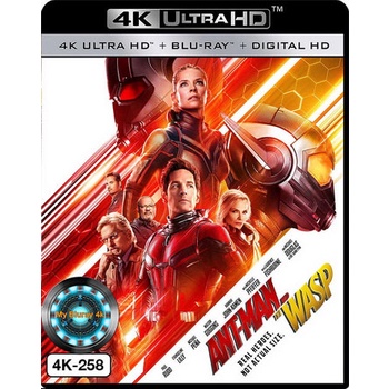 4K UHD หนัง Ant-Man and the Wasp แอนท์-แมน และ เดอะ วอสพ์