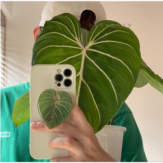 griptokใบไม้ ใบใหญ่ ถนัดมือ ที่ยึดมือถือรูปใบไม้ กาว3M มีลายmonstera, anthurium clarinavium, anthurium regale, กล้วยด่าง