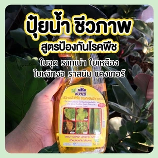 แก้ใบเหลือง ใบจุด ใบหงิกงอ รากเน่า แก้เชื้อรา ช่องาม(สารชีวภาพ) แก้โรค ใบจุด ราสนิม แคงเกอร์ รากเน่า