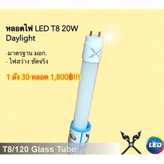 หลอดไฟLED T8 20W Daylight