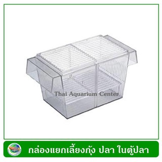 กล่องแยกเลี้ยงปลา กุ้ง ลูกปลา ปลาป่วย ในตู้ปลา Breeder Box