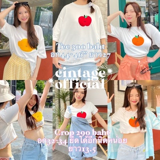 Cintage♡ CT1548 น้องปุกปุย collection by cintage920 🍋